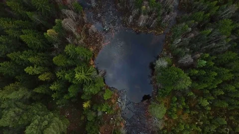A small crater in the middle of the forest Stock Footage 82999034