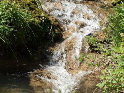 Small creak 库存照片