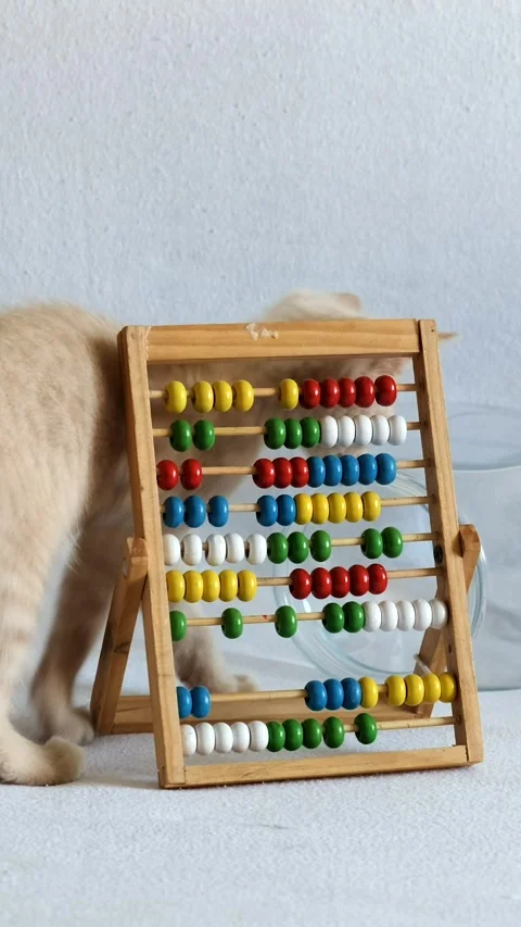 A small cream-colored kitten is playing with wooden abacus, on a white beds.. Stock Footage 285709157