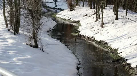 Small creek #1 動画素材 21316712