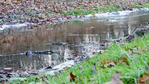 Small Creek 4K Stock Footage 83864804