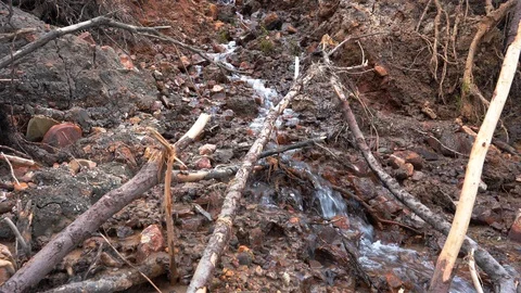 Small creek among stone cliffs. Stock-Footage 108686682