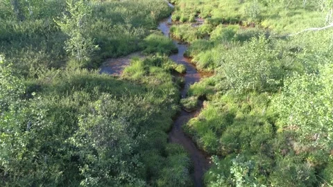 Small creek and the grass Stock Footage 282916740