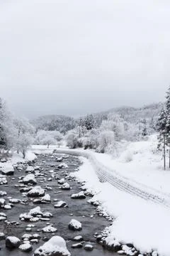 Small creek and tree covered in snow, Japan 写真素材