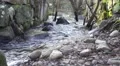 Small creek with big stones around it, filmed a sunny day in autumn HD Footage