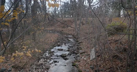 Small creek in the fall wide shot Stock Footage 144064531