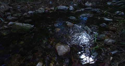 Small Creek Flowing on a cloudy day Stockbeeldmateriaal 61113393