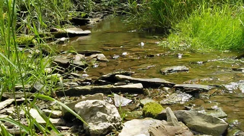 Small creek flowing Stock Footage 24909329