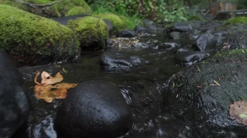 Small Creek Flowing Through Mossy Rocks Stock Footage 232051204