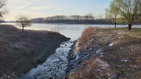 Small Creek Flowing Toward River in Late Winter Early Spring with Subtle Green L Stock Footage 331269006
