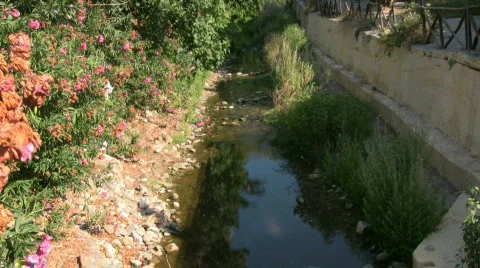 Small creek Stock Footage 507859