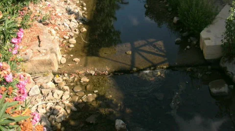 Small creek Stock Footage 507861