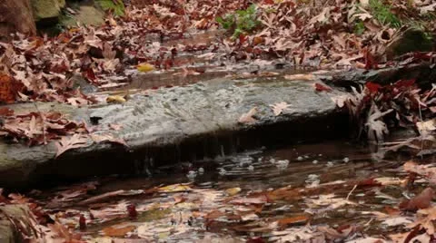Small creek Stock Footage 11240847