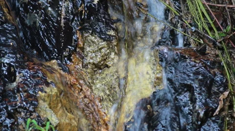 Small Creek Stock Footage 42269912