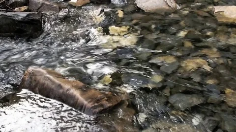 Small creek Stock Footage 74095128