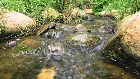 Small creek Stock-Footage 79629054