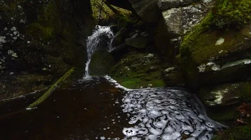 Small creek Stock Footage 85946342