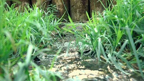 The small creek Stock-Footage 93287010