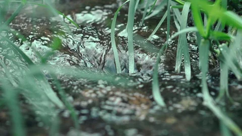 The small creek Stock-Footage 93287021