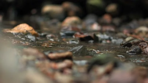 The small creek Stock-Footage 93884240