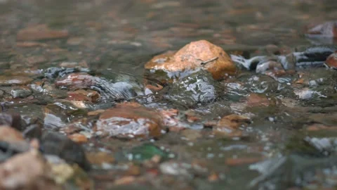 The small creek Stock-Footage 93884276