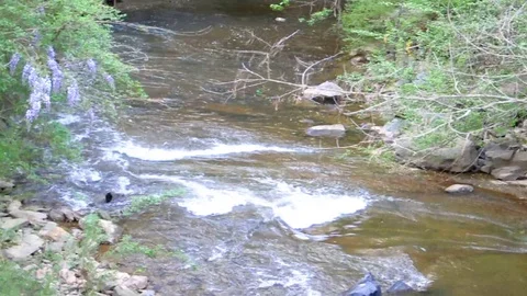 Small Creek Stock Footage 128161489