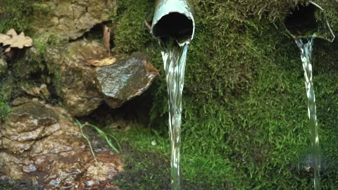 Small creek 動画素材 141478817