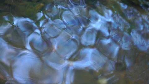 A small creek 動画素材 153369401