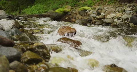 Small creek Video stock 155358027