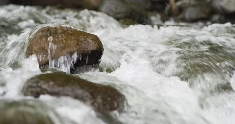 Small creek Video stock 155410888