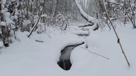 Small creek in forest during winter Stock Footage 262373363