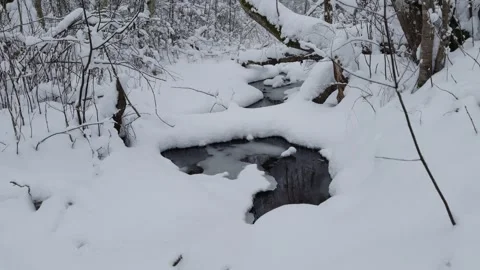 Small creek in forest during winter Stock Footage 262373582