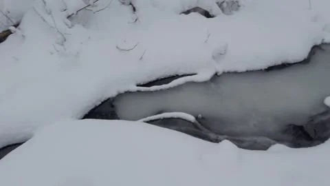 Small creek in forest during winter Stock Footage 262469628