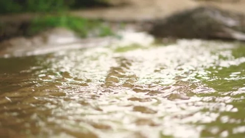 Small creek forest 動画素材 158318103