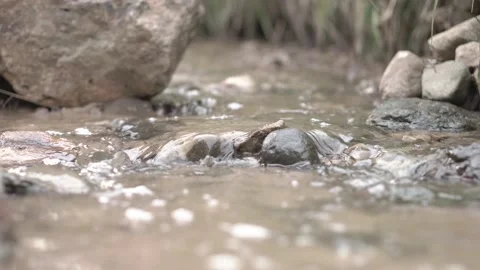 Small creek forest 動画素材 158318133