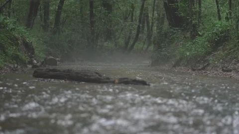 Small creek forest 動画素材 158318184