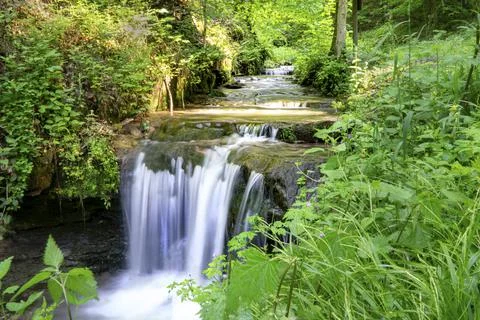 Small creek in forest Stock Photos
