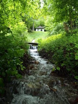 Small creek in the forest Stock Photos