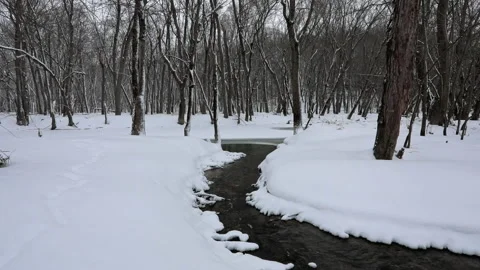 Small creek joins river. Stock Footage 170630114