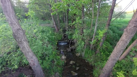 Small Creek with Mini Waterfall Flowing Through Green Spring Forest Vídeos de archivo 334137525