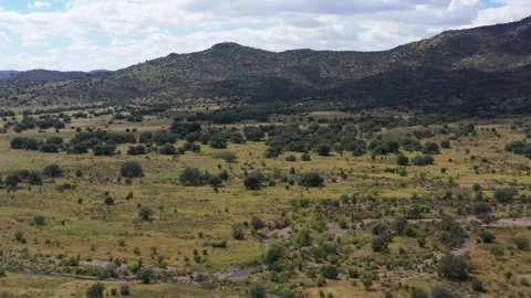 Small Creek in a Mountain Valley Drone Aerial View Fort Davis Texas USA Stock-Footage 335666450