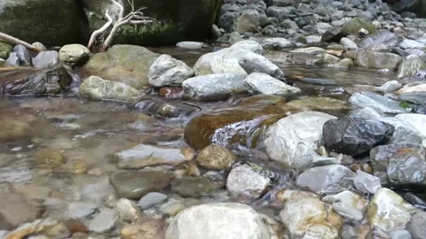 Small Creek In The Mountains. Stock Footage 137660764