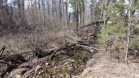 Small creek in nature 4K Stock Footage 167568675