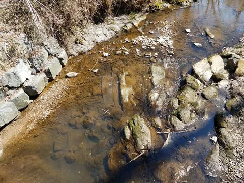 Small creek or stream in the forest or woods Stock Photos