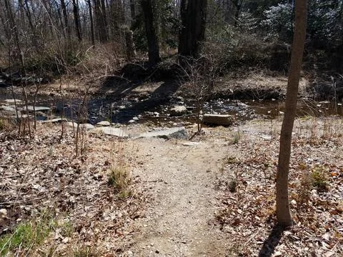 Small creek or stream in the forest or woods Stock Photos