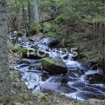 Small creek Stock Photos