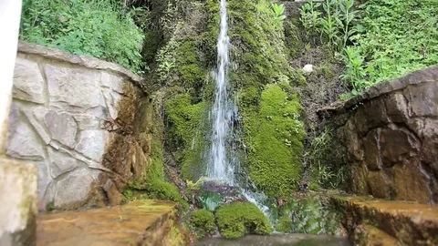 Small creek is representing this forest Stock Footage 70153681