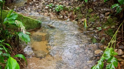 Small creek running through a bed of stones Vídeo Stock 247855929
