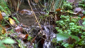 Small Creek with a small Waterfall in Mountains Video stock 85783010