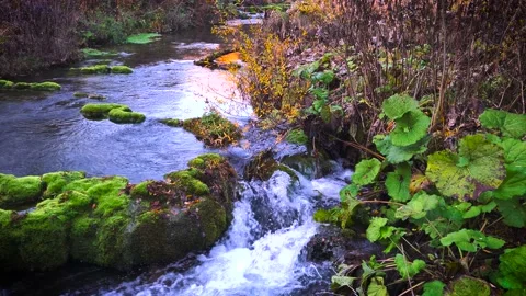 Small creek in spring. Calm stream with green leaf. Pure nature  without people. Stock Footage 144888962